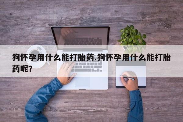 哪里有米非司酮片,狗怀孕用什么能打胎药.狗怀孕用什么能打胎药呢？