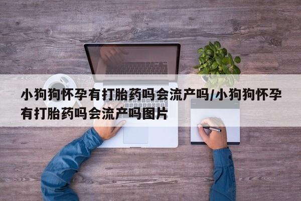 哪里有米非司酮片,小狗狗怀孕有打胎药吗会流产吗/小狗狗怀孕有打胎药吗会流产吗图片