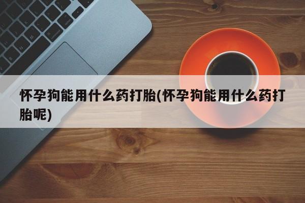 哪里有米非司酮片,怀孕狗能用什么药打胎(怀孕狗能用什么药打胎呢)